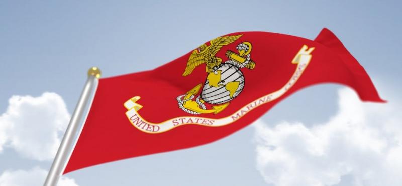 Happy Birthday U.S. Marine Corps.