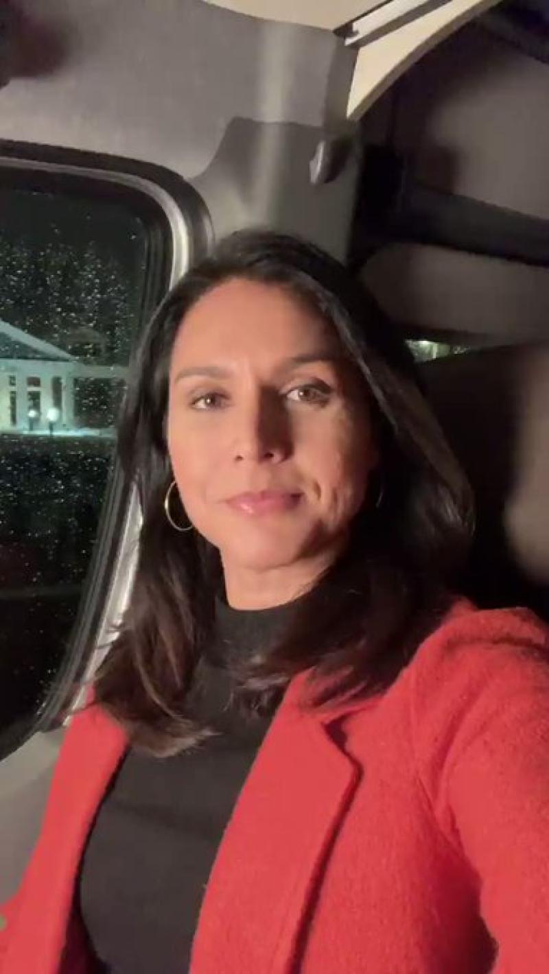 Tulsi Gabbard Sounds Off: Impeachment Has ‘Greatly Increased’ Chances Trump Will Win in 2020