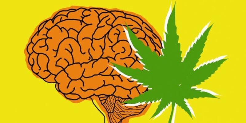 Scientists discover the reason why anxious people smoke marijuana