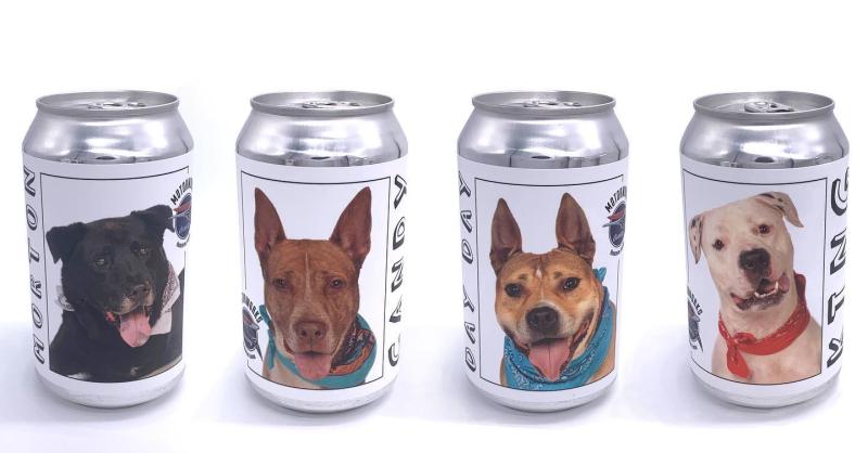 Brewery helps shelter dogs find forever homes — by putting their faces on beer cans
