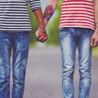 Homosexuality may have evolved for social, not sexual reasons