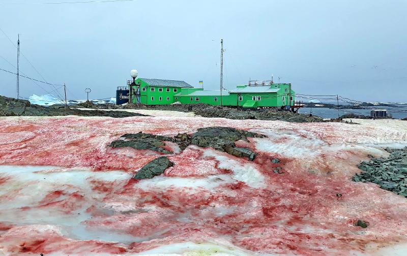 WEIRD SCIENCE Spooky 'blood snow' invades Antarctic island