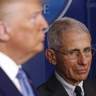 Fauci Tells Sunday News Show That He Thinks Millions Of Americans Will Get The Virus And Between 100 -200 Thousand Will Die