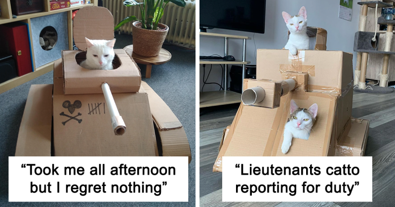 People Are So Bored During Quarantine That They're Building Cardboard Tanks For Their Cats (30 Pics)