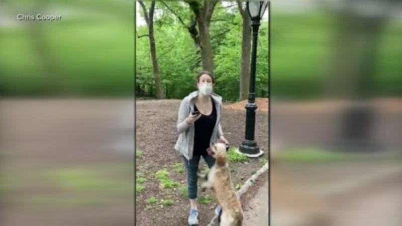 Investigation launched into Central Park incident involving white woman and black man