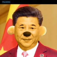Xi the Pooh