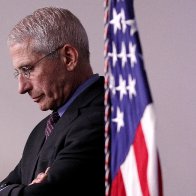 Fauci holds up New York as model for fighting coronavirus — 'They did it correctly'