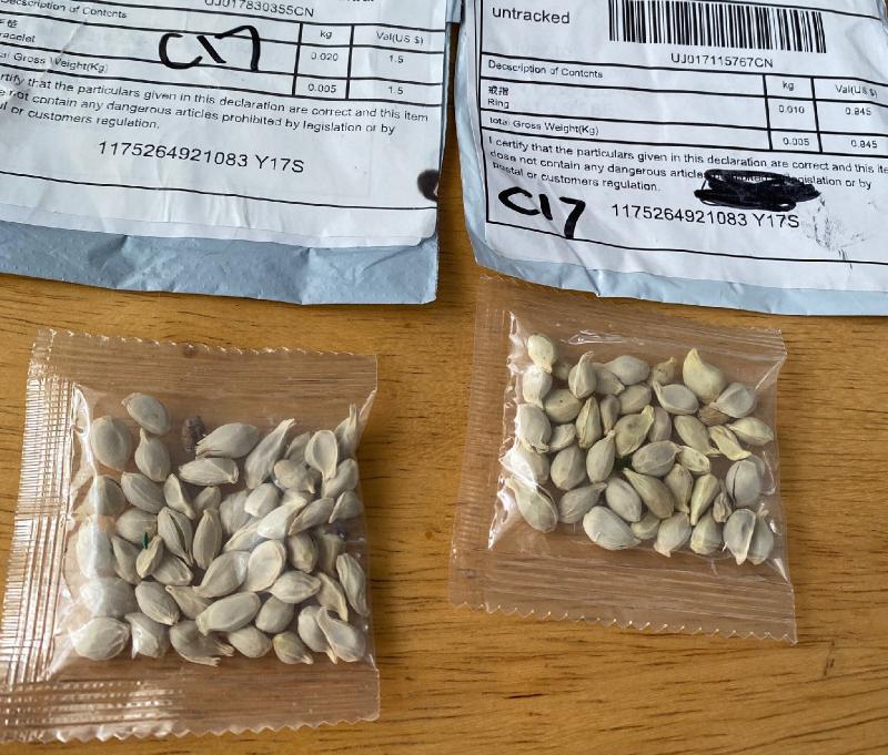  Mystery seeds from China are landing in Americans' mail boxes