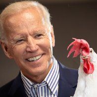 Joe Biden is a Chicken!