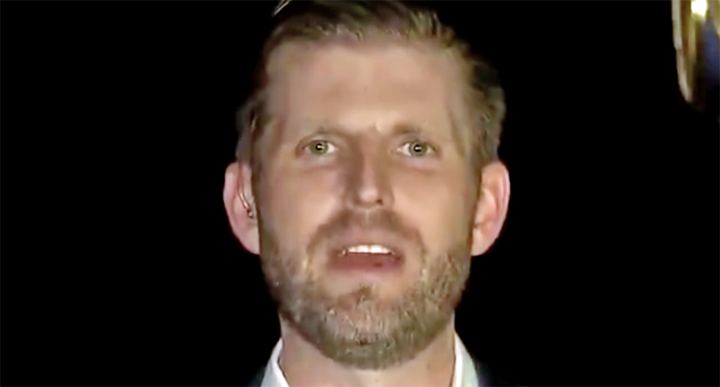 Eric Trump predicts his dad will win re-election: 'The polls are looking great — you see it every day' - Raw Story