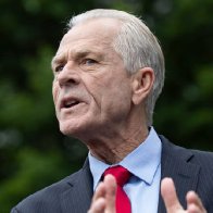 White House aide Peter Navarro said the 'Lord and Founding Fathers created executive orders' so Trump can push orders over 'partisan bickering'