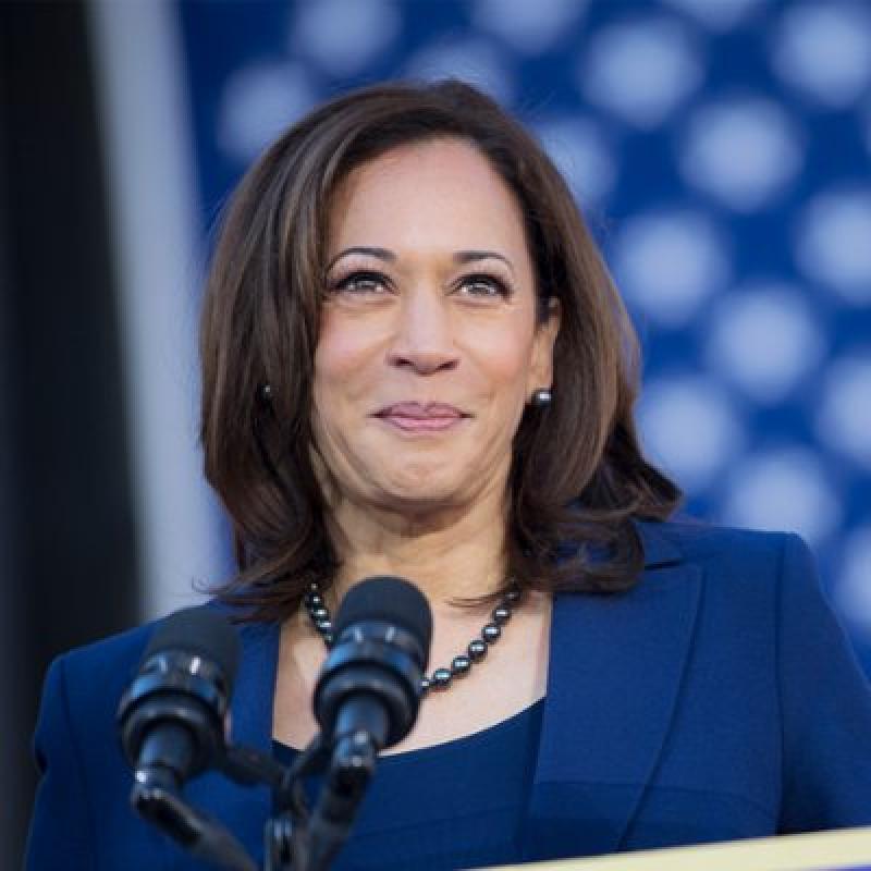 As Kamala Harris faces racist and sexist online attacks, women's groups and Democratic operatives say they have her back - The Boston Globe