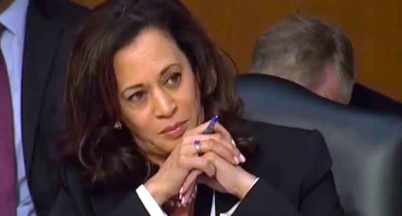 Newsweek slammed after editorial column starts a new birther conspiracy about Kamala Harris 