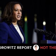 Trump Accuses Kamala Harris of Maliciously Speaking in Complete Sentences | The New Yorker