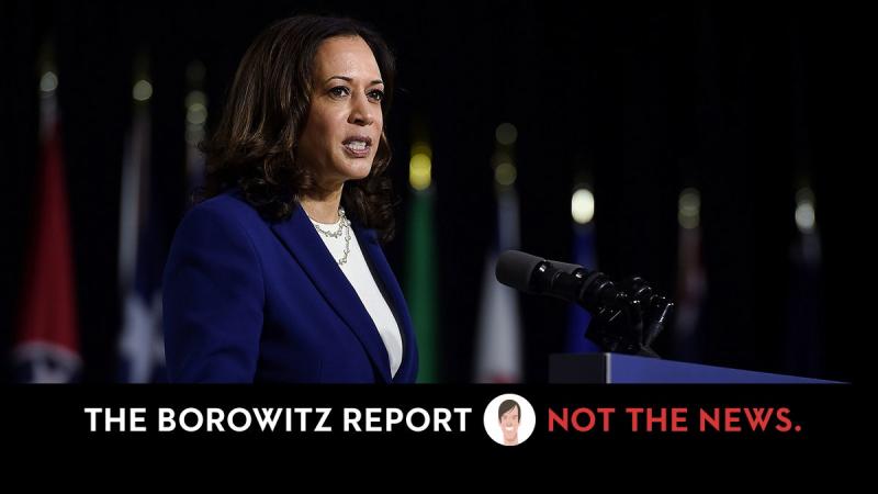 Trump Accuses Kamala Harris of Maliciously Speaking in Complete Sentences | The New Yorker