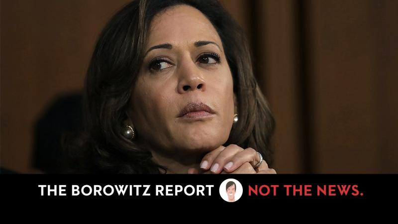 Kamala Harris's Approval Rating Soars After Trump Reminds Nation How "Nasty" She Was to Kavanaugh | The New Yorker