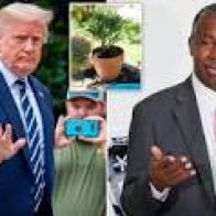 Trump reportedly pushing new unproven coronavirus treatment that is also embraced by HUD Sec. Ben Carson and MyPillow's Mike Lindell