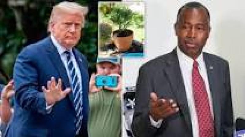 Trump reportedly pushing new unproven coronavirus treatment that is also embraced by HUD Sec. Ben Carson and MyPillow's Mike Lindell