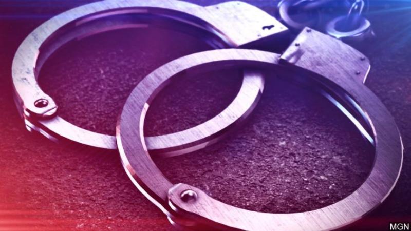 Nine arrested after police intercept out-of-state vehicles heading to Kenosha