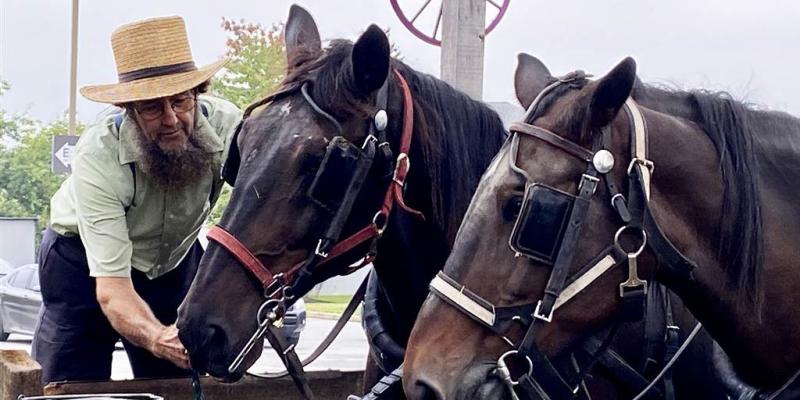 Puerto Ricans who fled Hurricane Maria find a home in Pennsylvania's Amish country