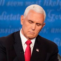 A fly on Mike Pence's head steals the show at the vice-presidential debate