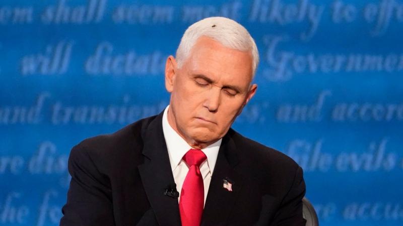 A fly on Mike Pence's head steals the show at the vice-presidential debate