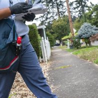 U.S. Postal Service saw on-time deliveries slip in September, drawing election concerns