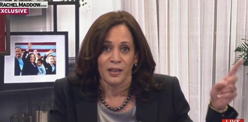 Kamala Harris Tears Trump Apart For 'Playing Around' As Americans Continue To Die On His Watch