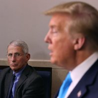 Fauci "Ready To Rip That Orange Clown's Face Off" - The Lint Screen