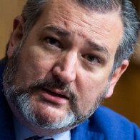 Ted Cruz On Trump's Hunter Biden Obsession: It Doesn't Move 'A Single Voter'