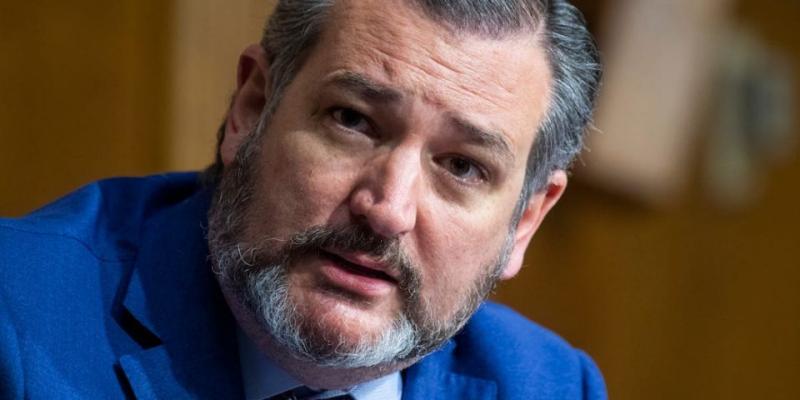 Ted Cruz On Trump's Hunter Biden Obsession: It Doesn't Move 'A Single Voter'