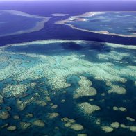 Coral reef taller than the Empire State Building discovered in Australia's Great Barrier Reef