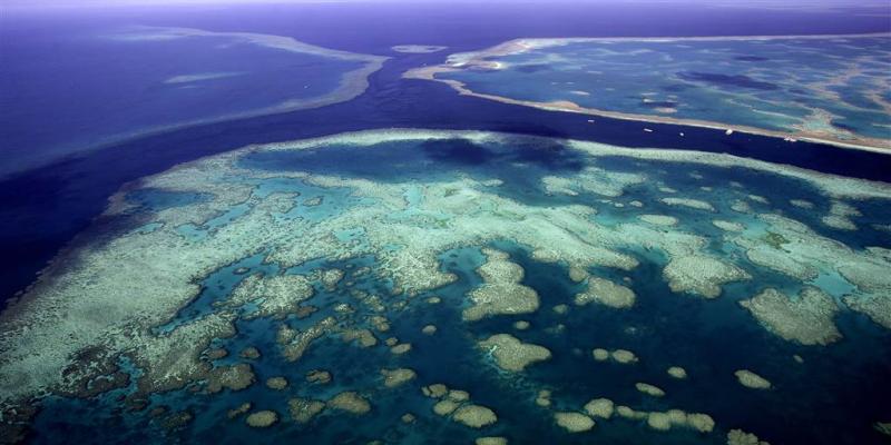 Coral reef taller than the Empire State Building discovered in Australia's Great Barrier Reef