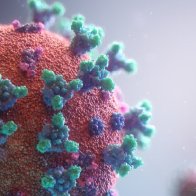 Coronavirus infections soared this week to record levels, hospitalizations are up in almost every state, and now — predictably, but slowly — deaths are rising, too.