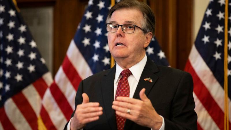 Texas Lt. Gov. Dan Patrick Offers Up To $1M Reward For 'Voter Fraud Whistleblowers And Tipsters'