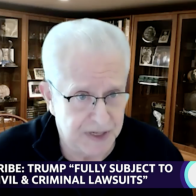 Trump will be 'busy' with lawsuits for the rest of his life: Laurence Tribe