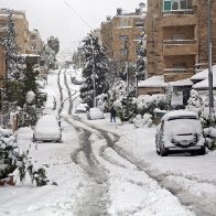 Camels 'Confused' by Snow as Video of Saudi Arabia Winter Storm Goes Viral