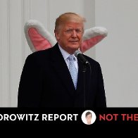 New QAnon Theory Predicts Trump Will Return in April as Easter Bunny | The New Yorker