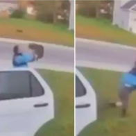 Video shows man saving his wife from bobcat by grabbing and hurling it across lawn