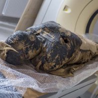 World First! 2,000-Year-Old Egyptian Mummy Was Pregnant | Ancient Origins