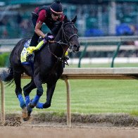 Trump mocked for bizarre statement calling Kentucky Derby winning horse a 'junky' and blaming Biden