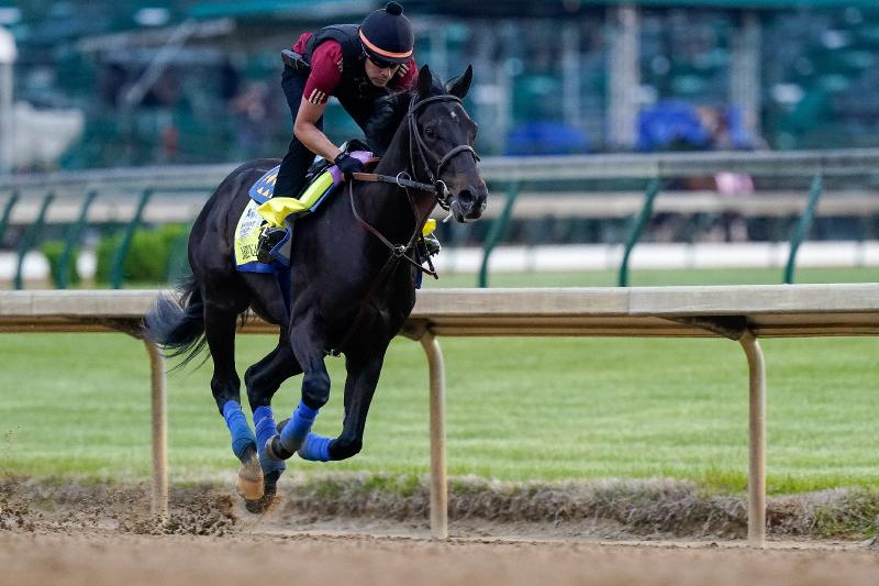 Trump mocked for bizarre statement calling Kentucky Derby winning horse a 'junky' and blaming Biden