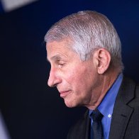 Republican anger with Fauci reaches new heights