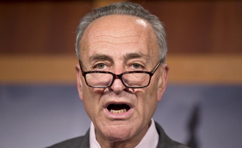 Schumer blames worker shortage on Trump immigration policy