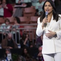 Tulsi Gabbard demands Lori Lightfoot's resignation after she granted interviews only to journalists of color