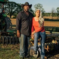 Federal judge halts federal aid program for minority farmers