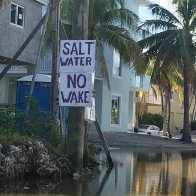 'The water is coming': Florida Keys faces stark reality as seas rise | Florida | The Guardian