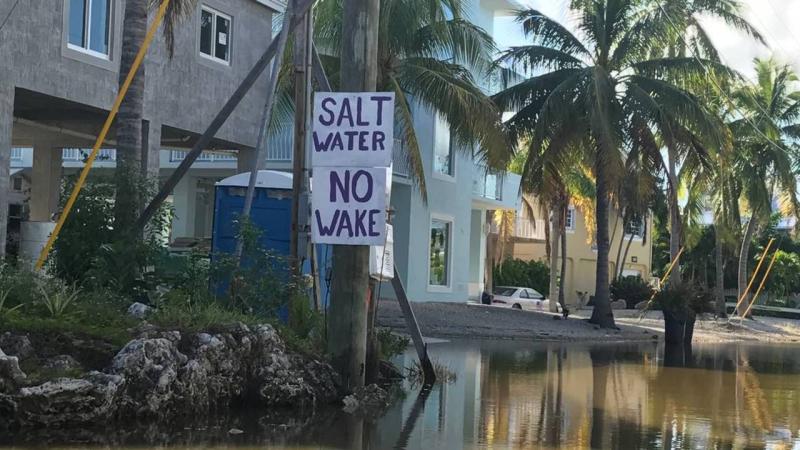 'The water is coming': Florida Keys faces stark reality as seas rise | Florida | The Guardian