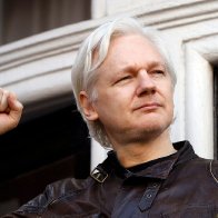 Key witness against Assange admits to lying in exchange for US immunity