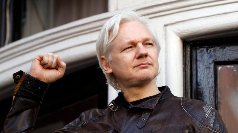 Key witness against Assange admits to lying in exchange for US immunity